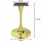 Picior Masa Lyma Gold Dimensiuni