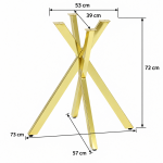 Picior Tania X Gold dimensiuni